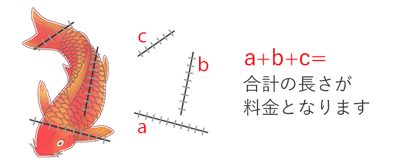 切除方法・切除部分の大きさ